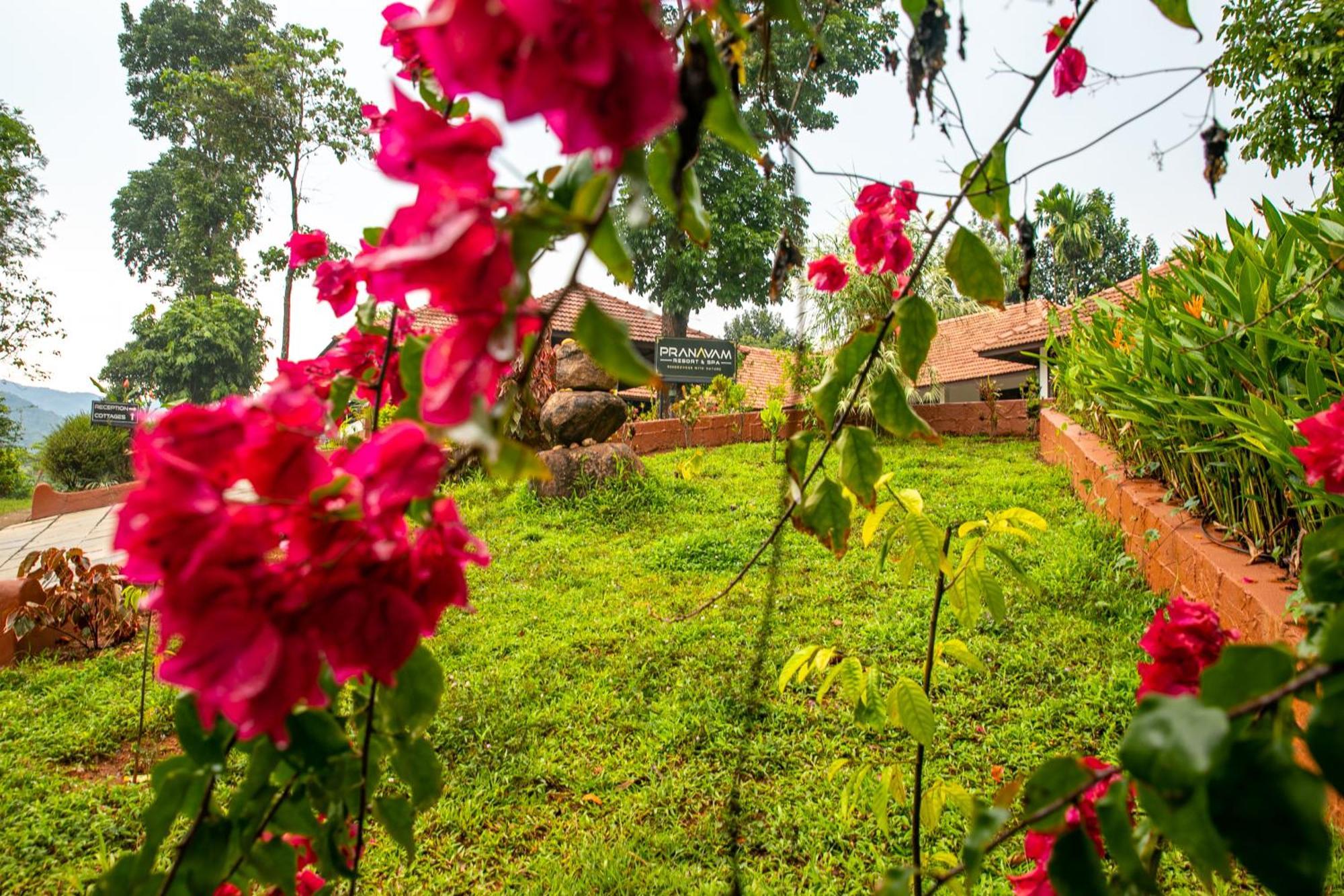 Pranavam Resort & Spa Tariyod Exterior photo